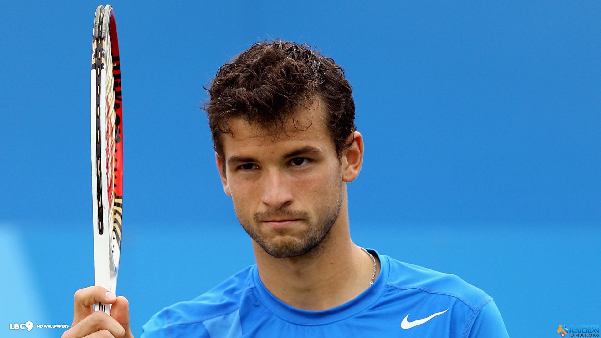 未来几年能 未来几年能